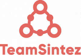 Team.si